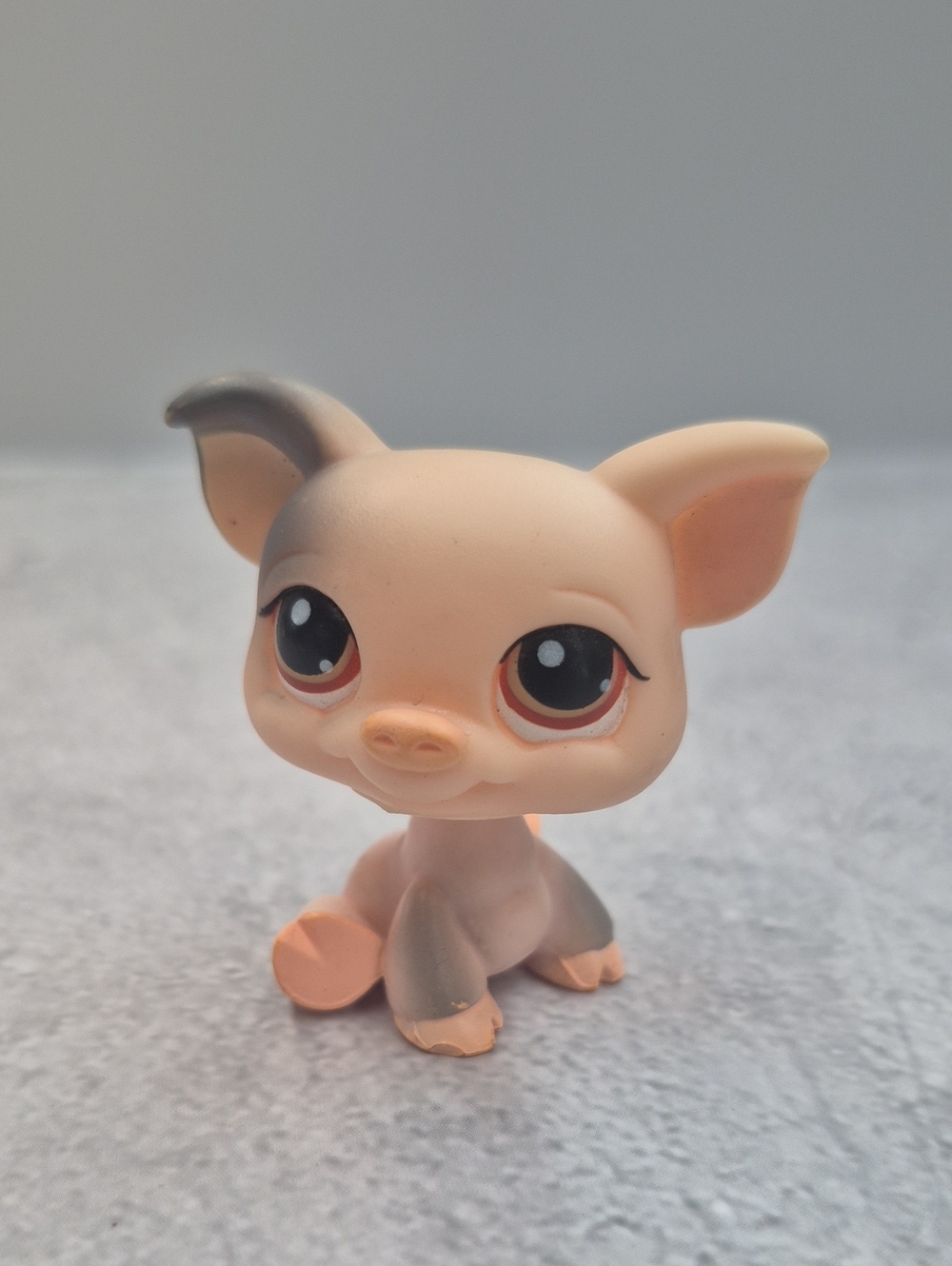 Littlest Pet Shop Pig #259